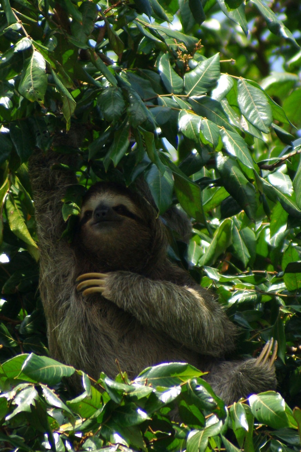 Costa Rica 15.7.-6.8.2012