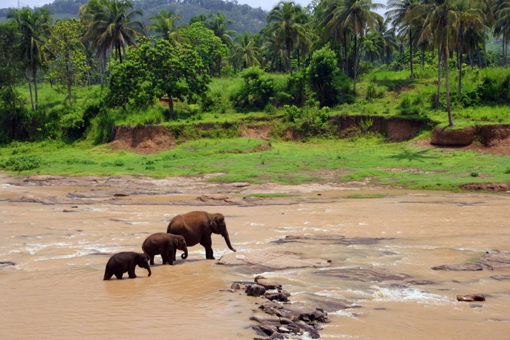 Sri Lanka/ Maldives&nbsp;17.4.-4.5.2014