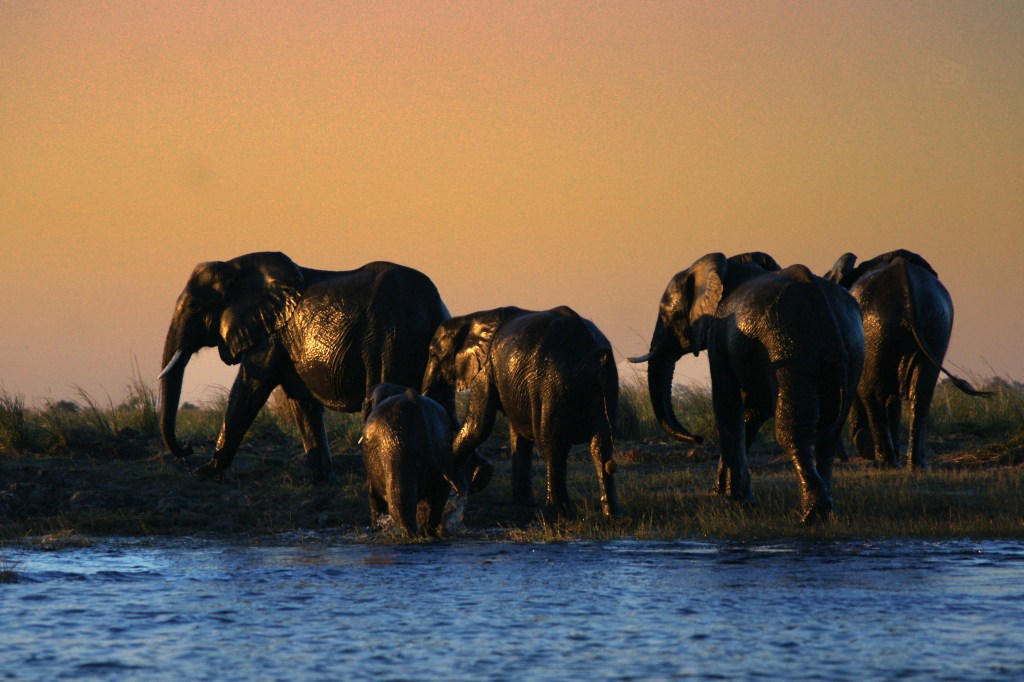 Botswana 11.8.-16.8.2010