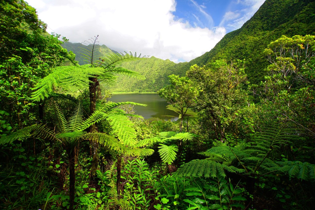 La Réunion / Mauritius&nbsp;14.4.-29.4.2017